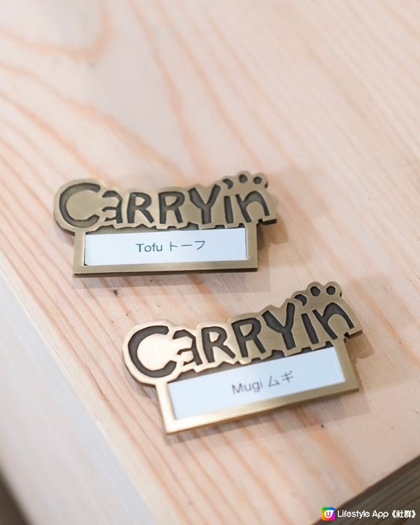 期間限定 CARRYin一日店長💼