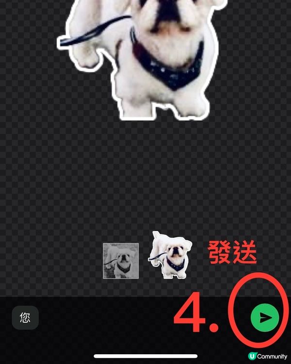 🐶幫主子製作WhatsApp貼圖，簡單4️⃣步完成