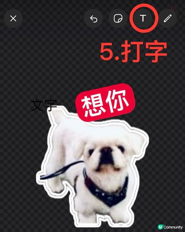 🐶幫主子製作WhatsApp貼圖，簡單4️⃣步完成