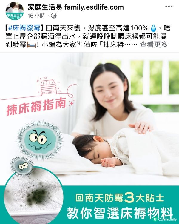 原來床褥都會發霉？ ！大家知唔知點處理？
