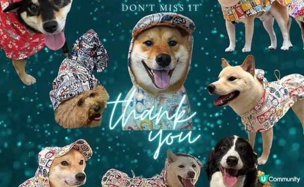 雨季必備｜給牠一件美觀又實用的雨衣 @狗笠9love