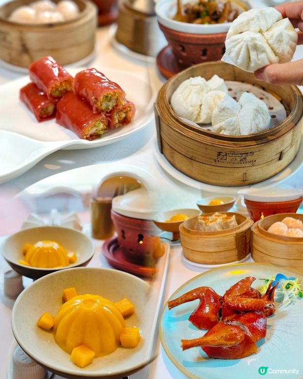 《深圳楊美一日游攻略🤩打卡嘆點心》