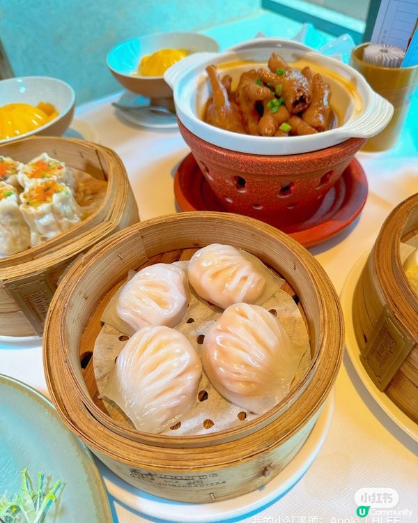 《深圳楊美一日游攻略🤩打卡嘆點心》