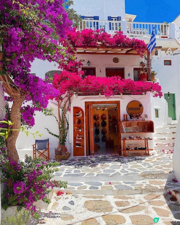 希臘米島之旅 🇬🇷🏖️