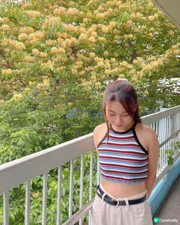 魚木花😚😚