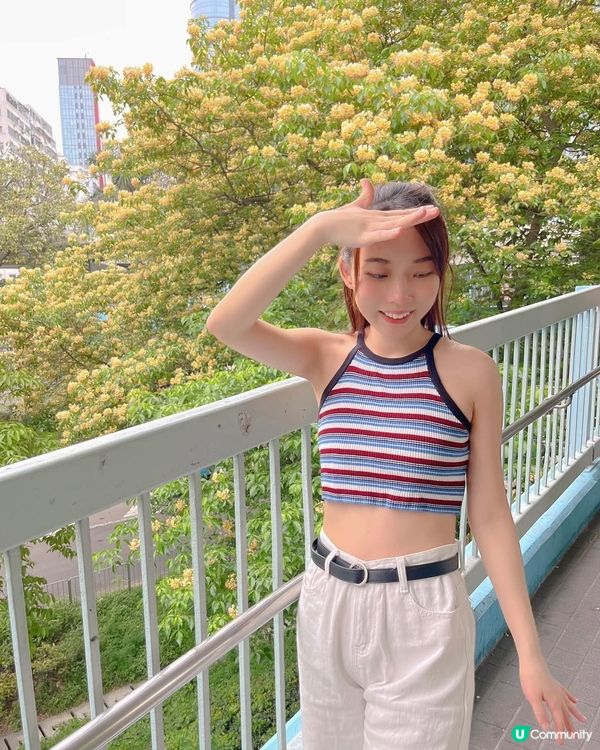 魚木花😚😚