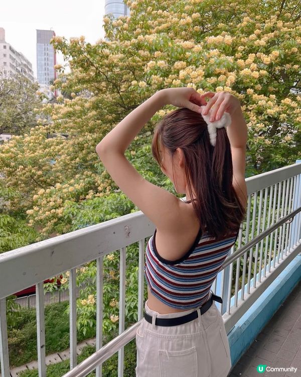 魚木花😚😚