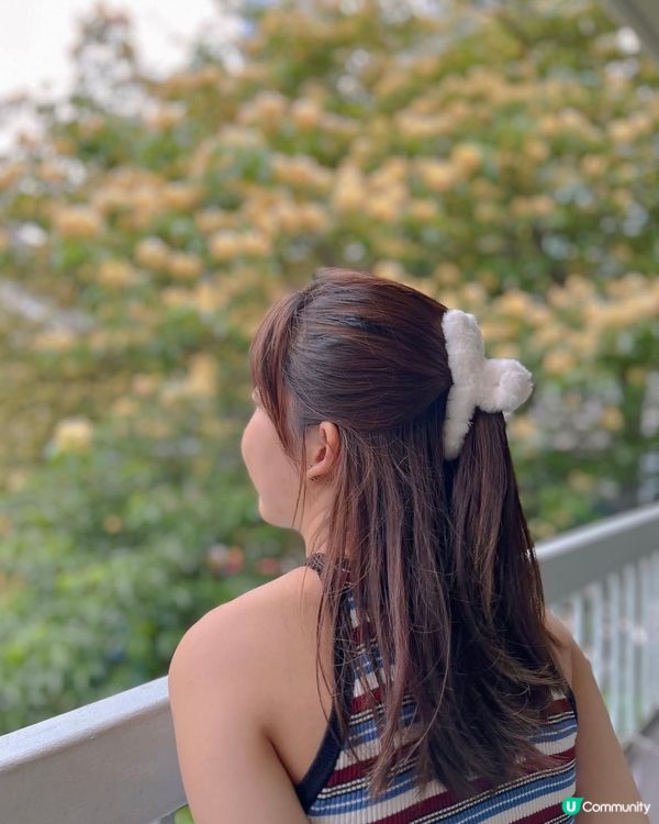 魚木花😚😚