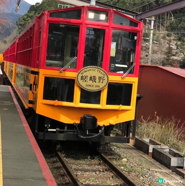 嵯峨嵐山。松枝。