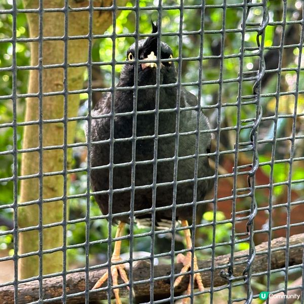 假日好去處☀️