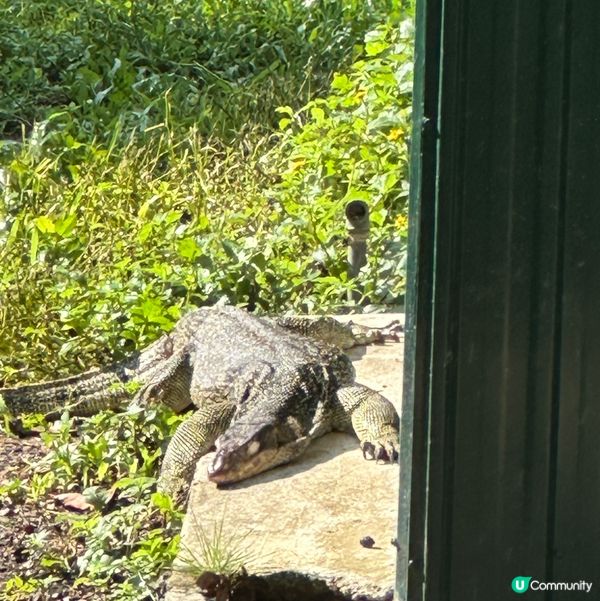 假日好去處☀️