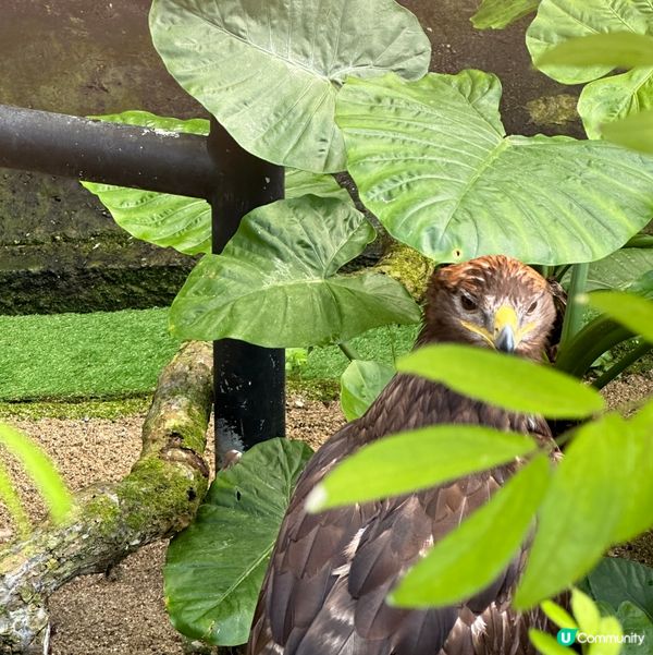 假日好去處☀️