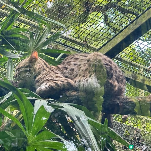 假日好去處☀️