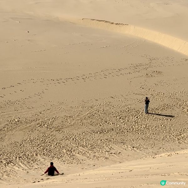 澳洲悉尼滑沙🏄🏻‍♂️