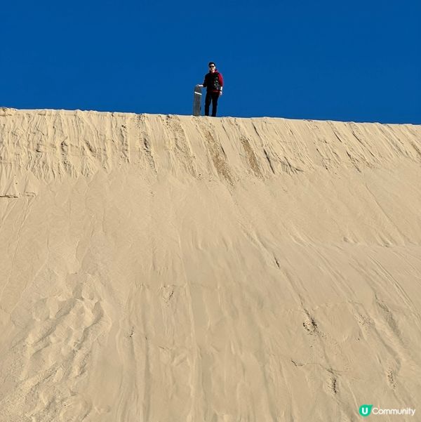 澳洲悉尼滑沙🏄🏻‍♂️
