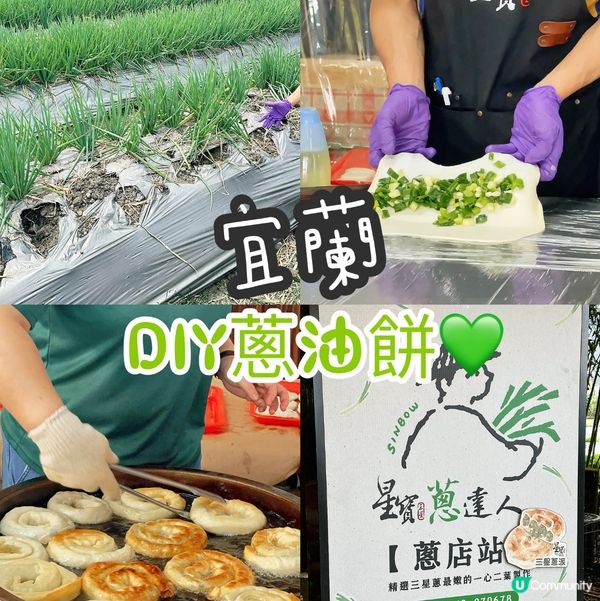 宜蘭｜體驗拔蔥及DIY蔥油餅，特別又好玩！