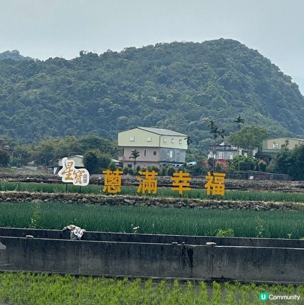 宜蘭｜體驗拔蔥及DIY蔥油餅，特別又好玩！