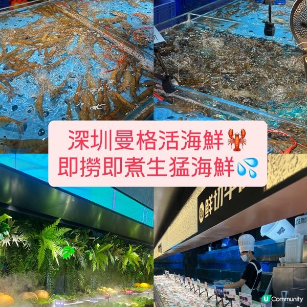 深圳曼格活海鮮自助餐🤤 海鮮控必去 🦀🦐🦞 抵食夾大件👍