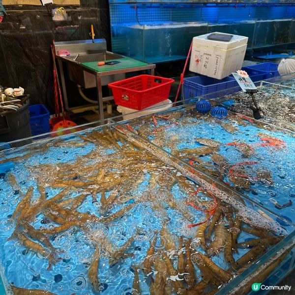 深圳曼格活海鮮自助餐🤤 海鮮控必去 🦀🦐🦞 抵食夾大件👍