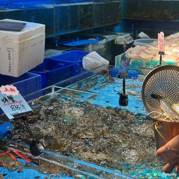 深圳曼格活海鮮自助餐🤤 海鮮控必去 🦀🦐🦞 抵食夾大件👍