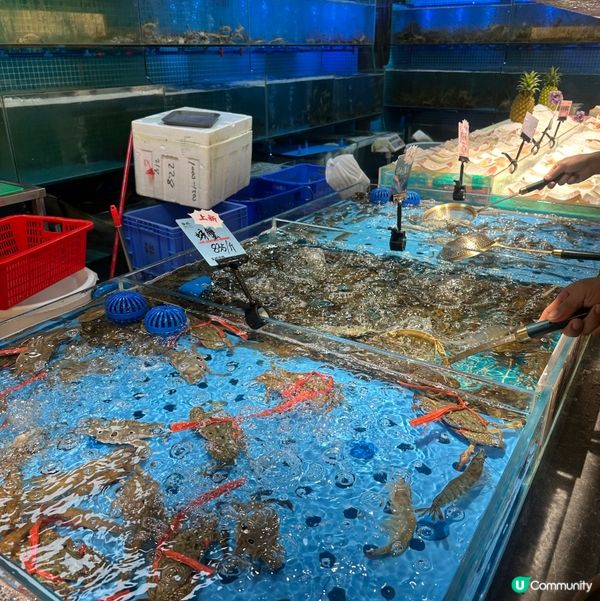 深圳曼格活海鮮自助餐🤤 海鮮控必去 🦀🦐🦞 抵食夾大件👍