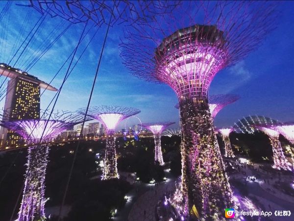 新加坡最不能錯過景點｜打卡Garden By The Bay