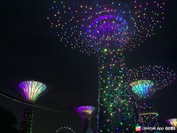 新加坡最不能錯過景點｜打卡Garden By The Bay