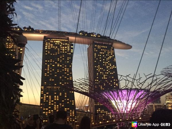 新加坡最不能錯過景點｜打卡Garden By The Bay