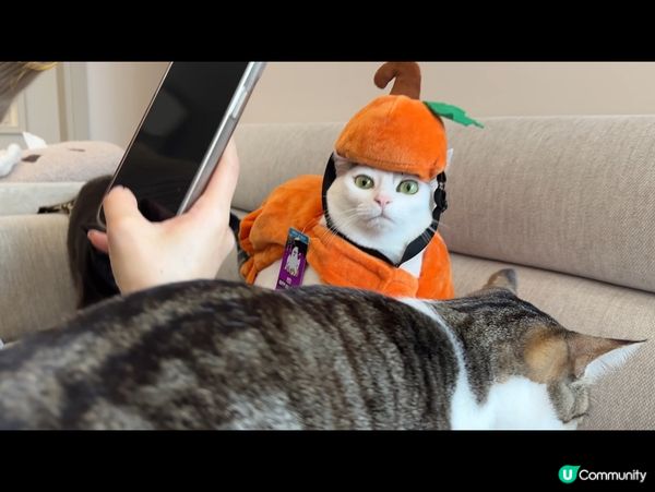 大吉大利！恭喜發財🤣