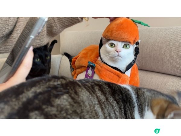 大吉大利！恭喜發財🤣