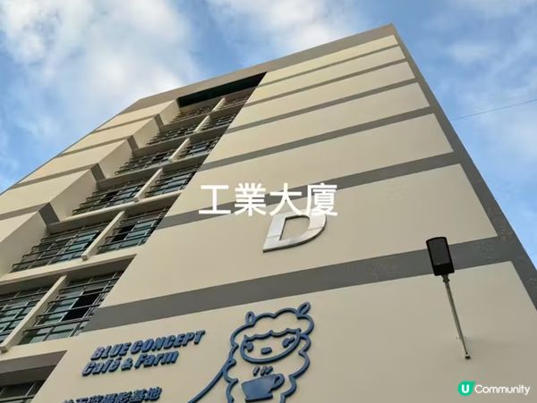 深圳一日遊，密室+草泥馬，打卡不停！🦙✨