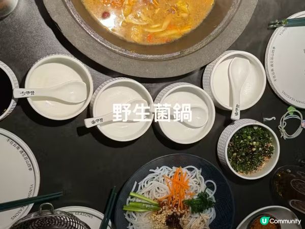 深圳一日遊，密室+草泥馬，打卡不停！🦙✨