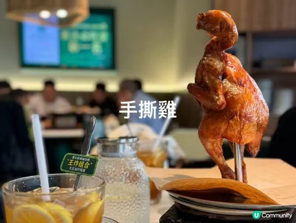 深圳一日遊，密室+草泥馬，打卡不停！🦙✨