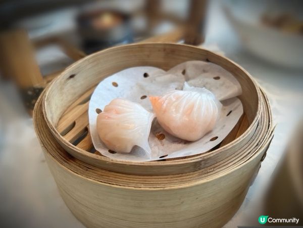 飲茶🫖飲茶🫖