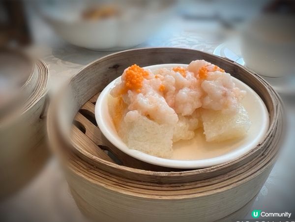 飲茶🫖飲茶🫖