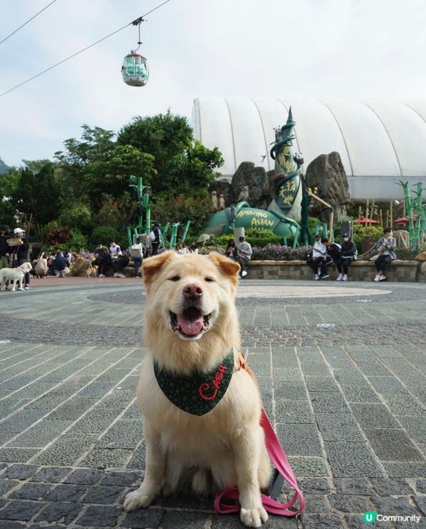 亞洲動物天地啱晒我🐶🐶