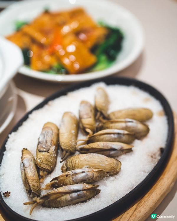 莆田哆頭蟶節霸氣回歸！8種鮮味任選2道$228