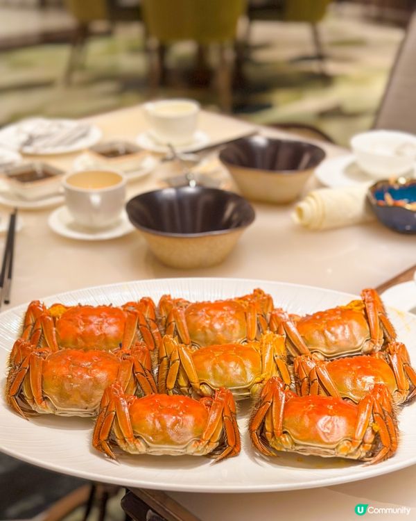 🦀秋風蟹韻!富豪酒店大閘蟹盛宴登場