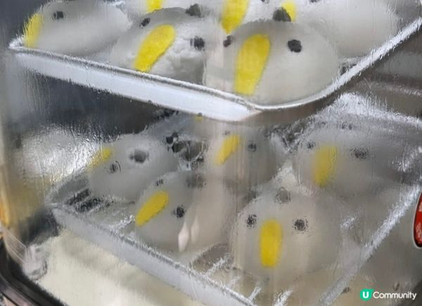 與動物0距離接觸