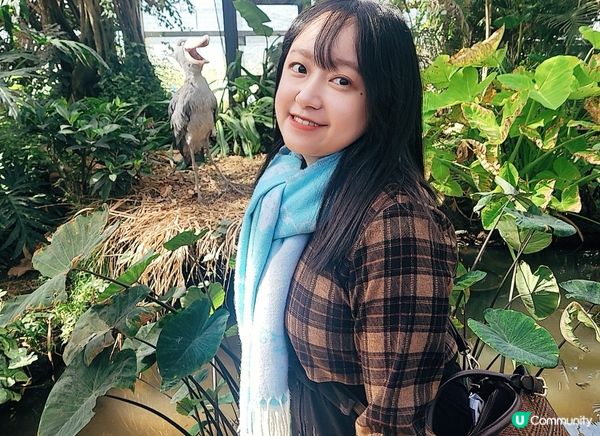 與動物0距離接觸