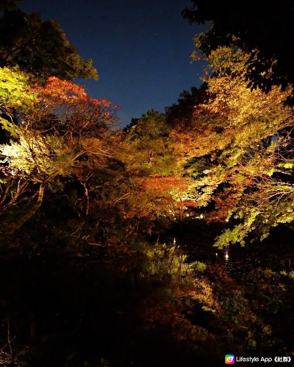 東京必去紅葉景點推介4️⃣六義園