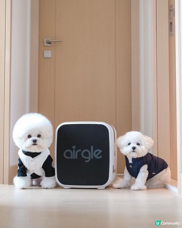 🐶🐱 敏感鼻敏感皮膚？ 🤧