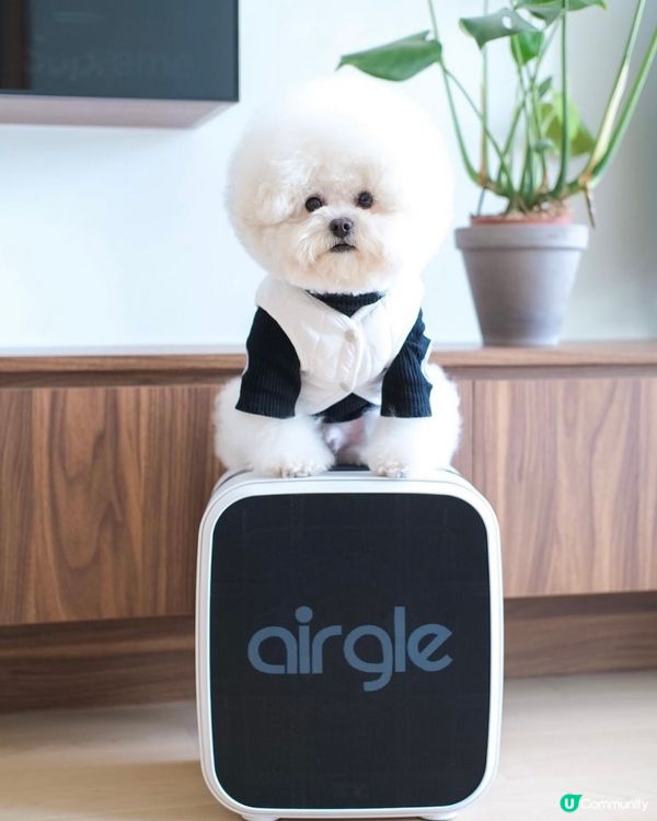 🐶🐱 敏感鼻敏感皮膚？ 🤧