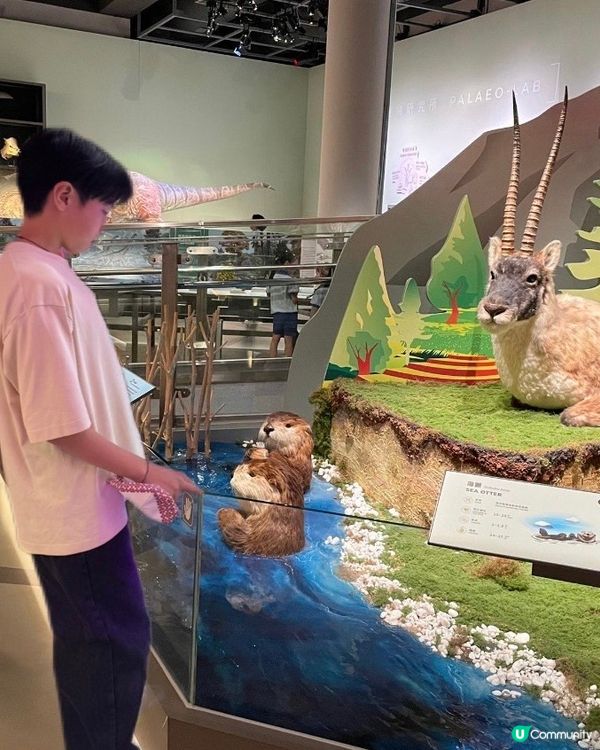 週末親子放電！🤖🚀香港創科展玩轉科學！