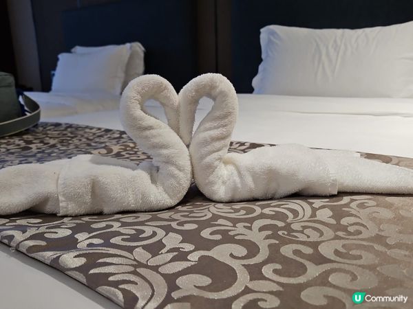 🫡 歡迎關注我嘅戶口､訂閱我嘅YouTube頻道, foll...