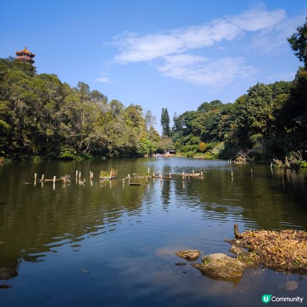 深圳仙湖植物園