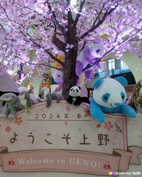上野車站熊貓