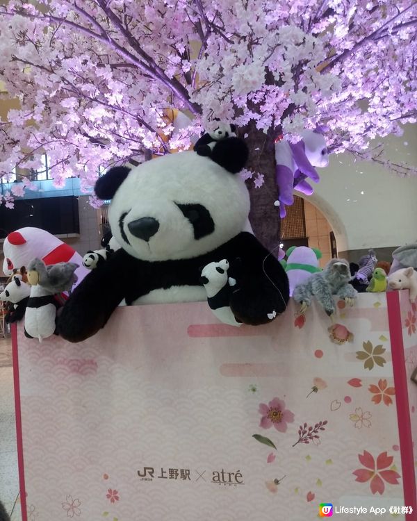 上野車站熊貓