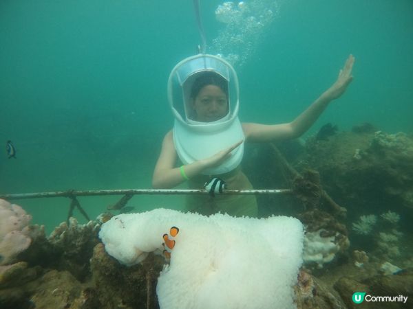 布吉跳島遊下集 - 珊瑚島（超正的海底漫步，拖傘