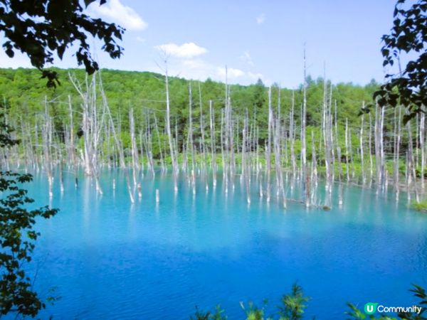 10年前的秘景變成打卡熱點～白金青池